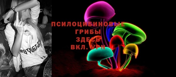 ГАЛЛЮЦИНОГЕННЫЕ ГРИБЫ Лабытнанги