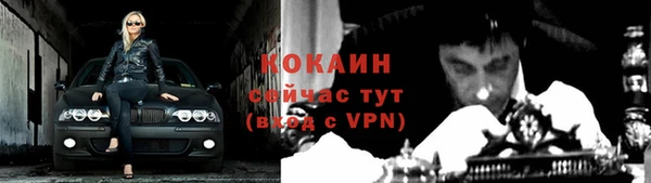 PSILOCYBIN Ладушкин