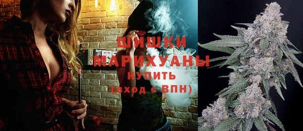 PSILOCYBIN Ладушкин