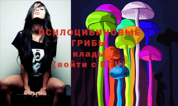 ГАЛЛЮЦИНОГЕННЫЕ ГРИБЫ Лабытнанги