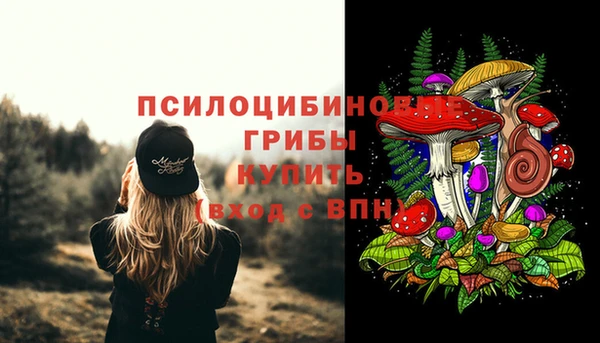 ГАЛЛЮЦИНОГЕННЫЕ ГРИБЫ Лабытнанги