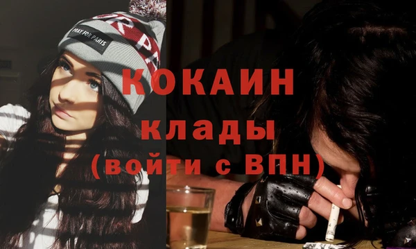 PSILOCYBIN Ладушкин