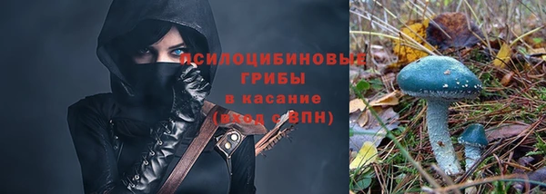 PSILOCYBIN Ладушкин