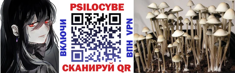 Галлюциногенные грибы Psilocybe  наркота  мега tor  Малмыж 